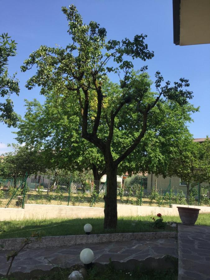 Villa Rita Monzambano Kültér fotó